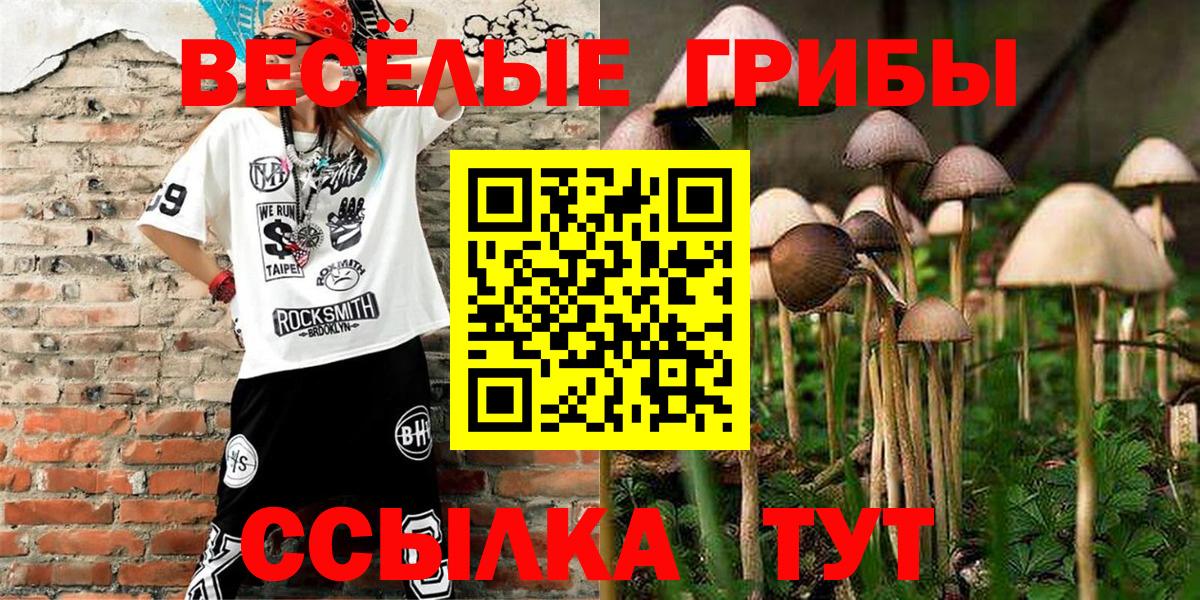 Псилоцибиновые грибы Psilocybe Кашира