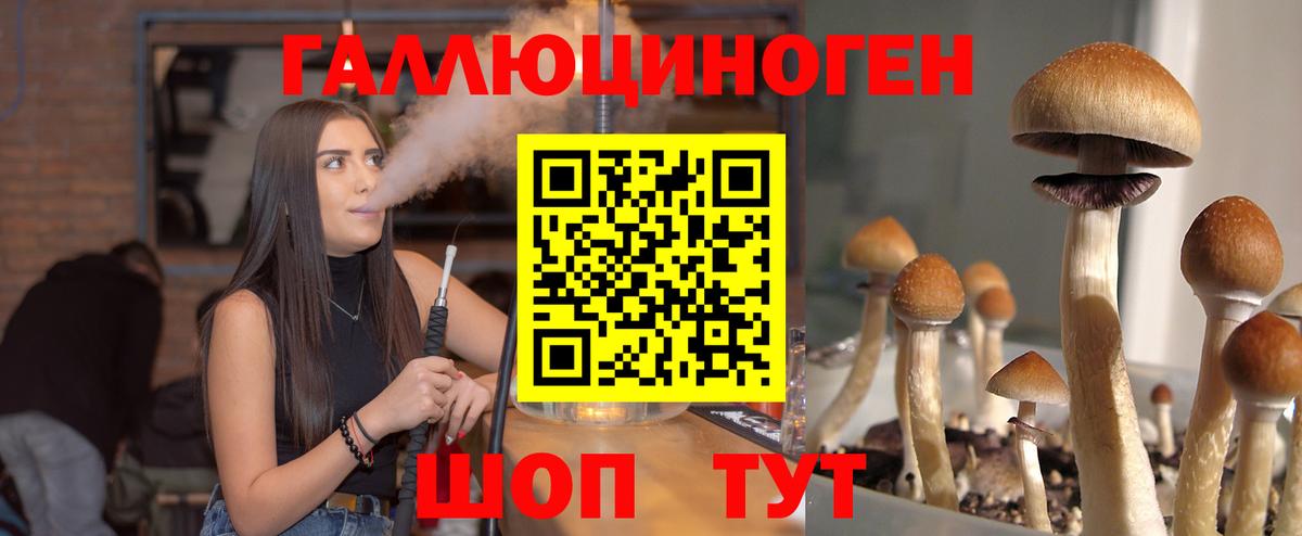 Кашира  Галлюциногенные грибы MAGIC MUSHROOMS  Галлюциногенные грибы Cubensis  Вход с VPN 